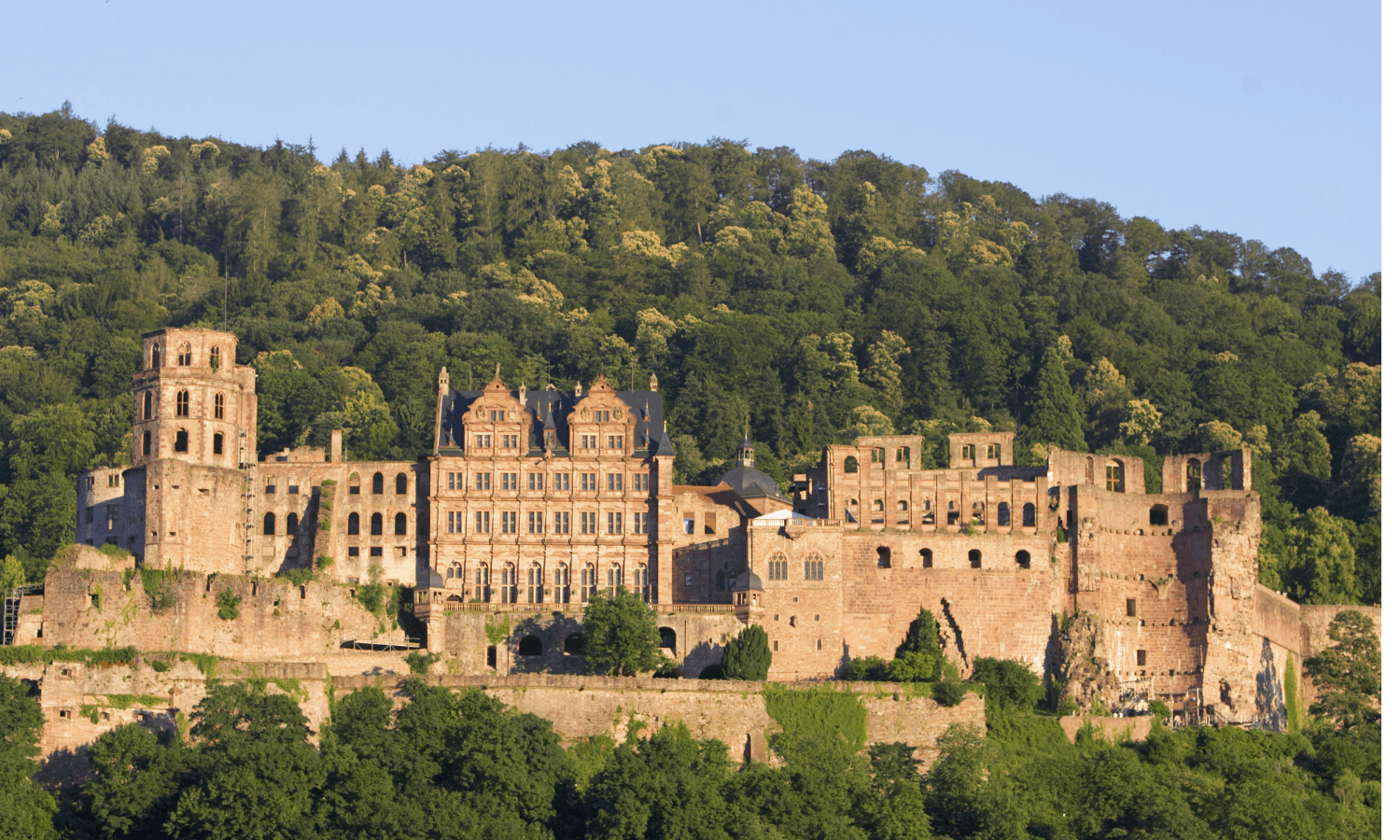 Heidelberg Castle tour 