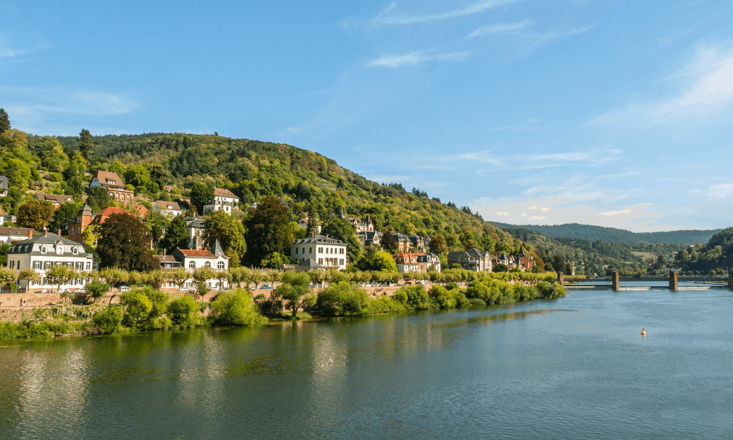 Beautiful view of Heidelberg Town 